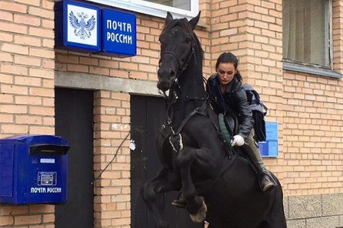 Конь и русская женщина заменят "Алиэкспрессу" Скарлетт Йоханссон