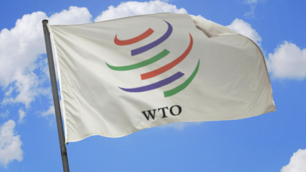 В ВТО пропишут международные правила ecommerce