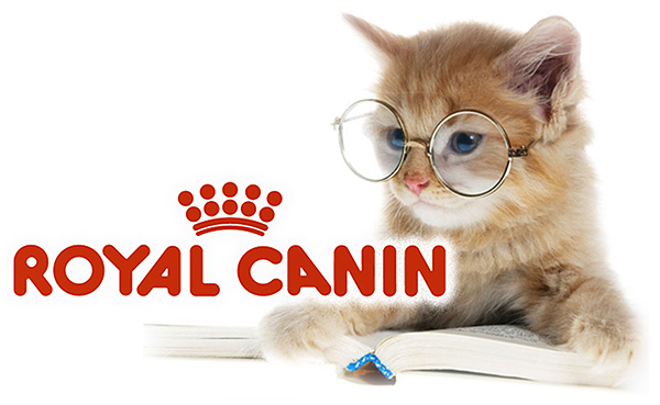 Компания Royal Canin выводит свои корма и экспертизу в онлайн