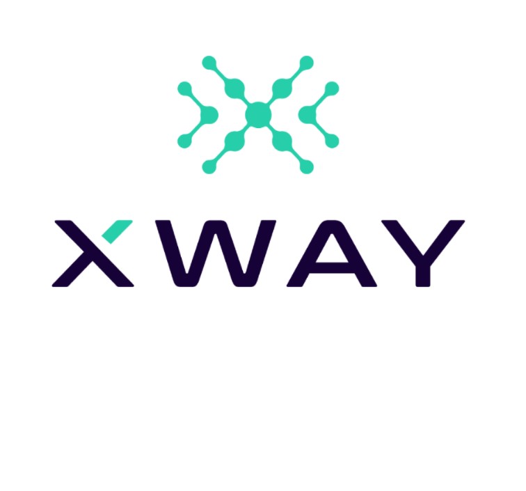 Как увеличить доход магазинов на маркетплейсах: XWAY запустил сервис автоматизации продаж