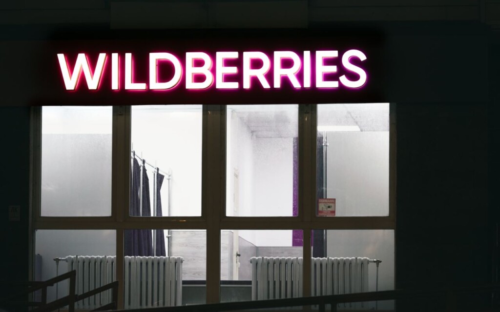 К чему уже привела забастовка ПВЗ Wildberries: отмена штрафов, неприятные вопросы от Минтруда и дата переговоров