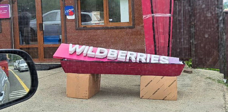 Кто и зачем устроил "похороны" Wildberries возле федеральной трассы в Сочи? (ВИДЕО)